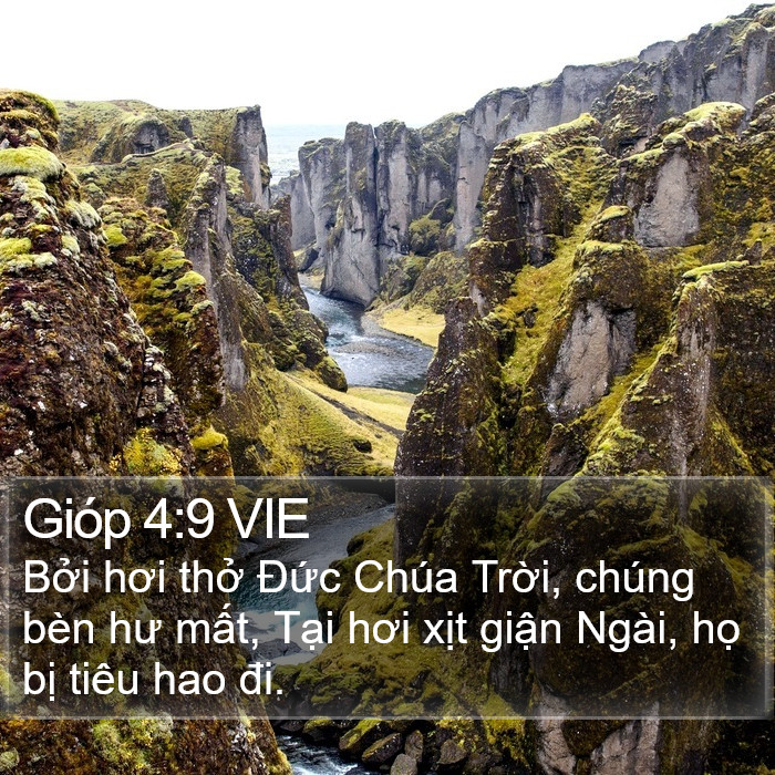 Gióp 4:9 VIE Bible Study