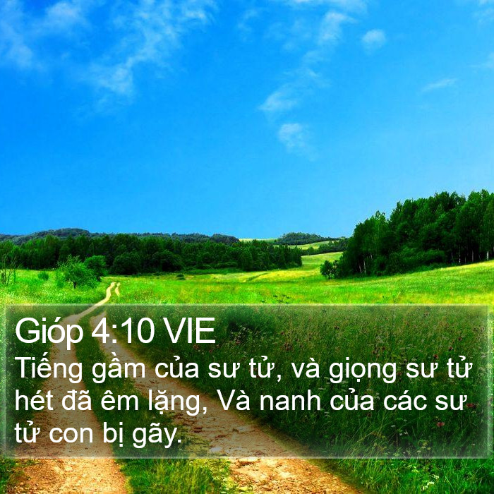 Gióp 4:10 VIE Bible Study