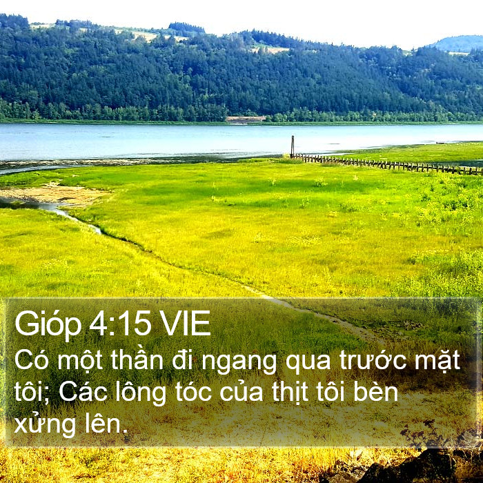 Gióp 4:15 VIE Bible Study