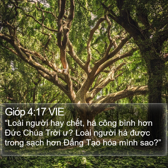 Gióp 4:17 VIE Bible Study