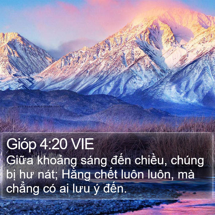 Gióp 4:20 VIE Bible Study