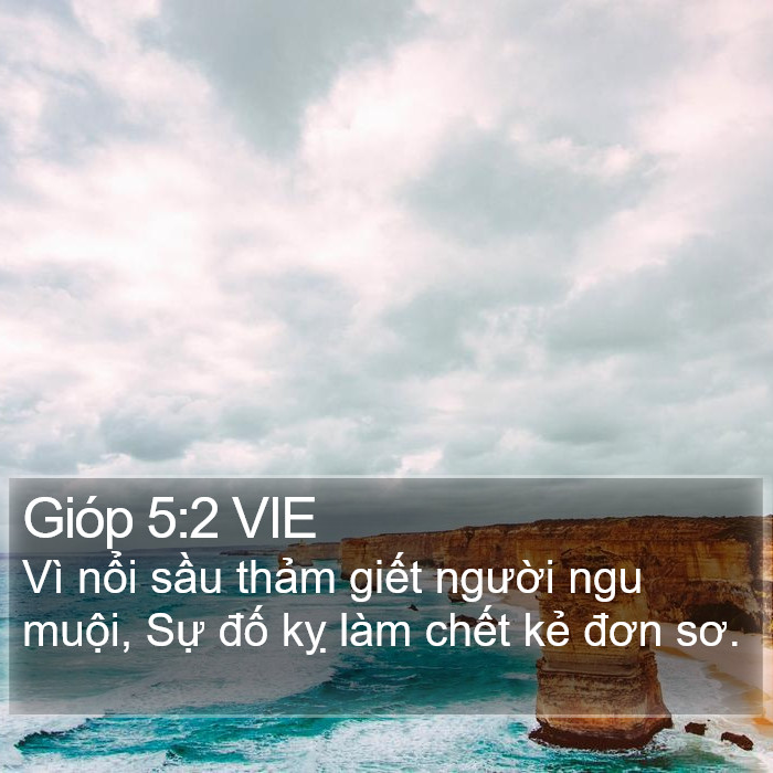 Gióp 5:2 VIE Bible Study