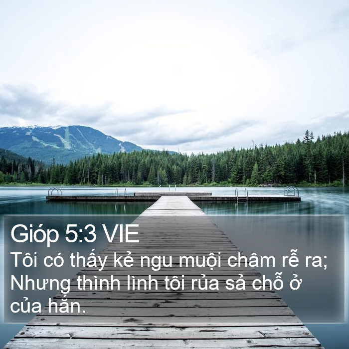 Gióp 5:3 VIE Bible Study