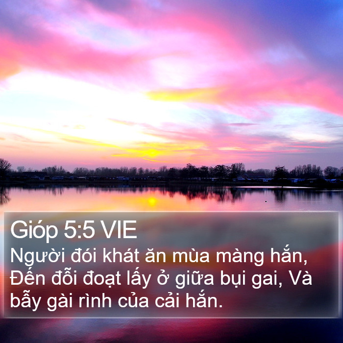 Gióp 5:5 VIE Bible Study