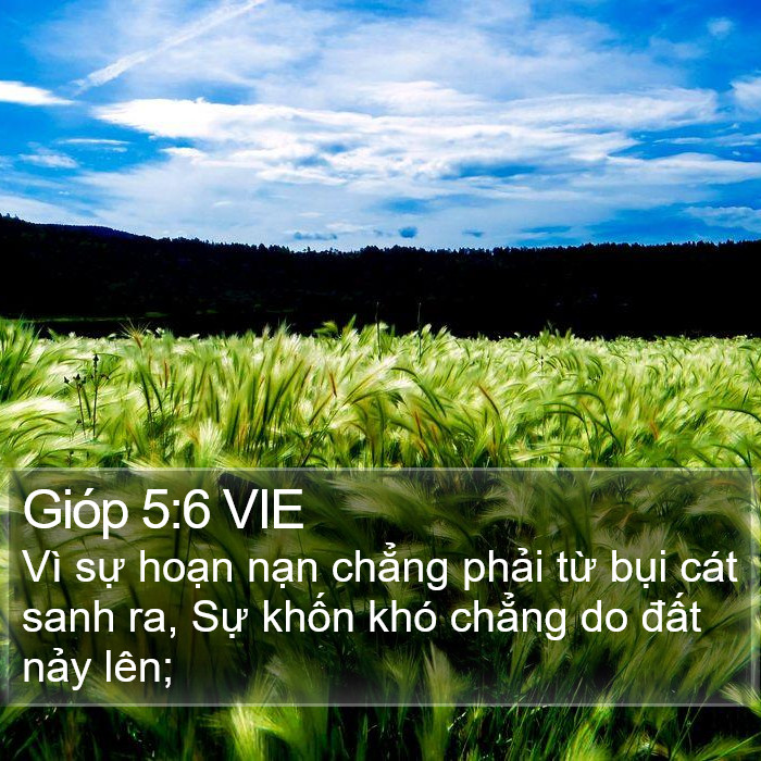 Gióp 5:6 VIE Bible Study