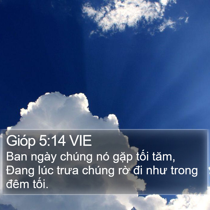 Gióp 5:14 VIE Bible Study