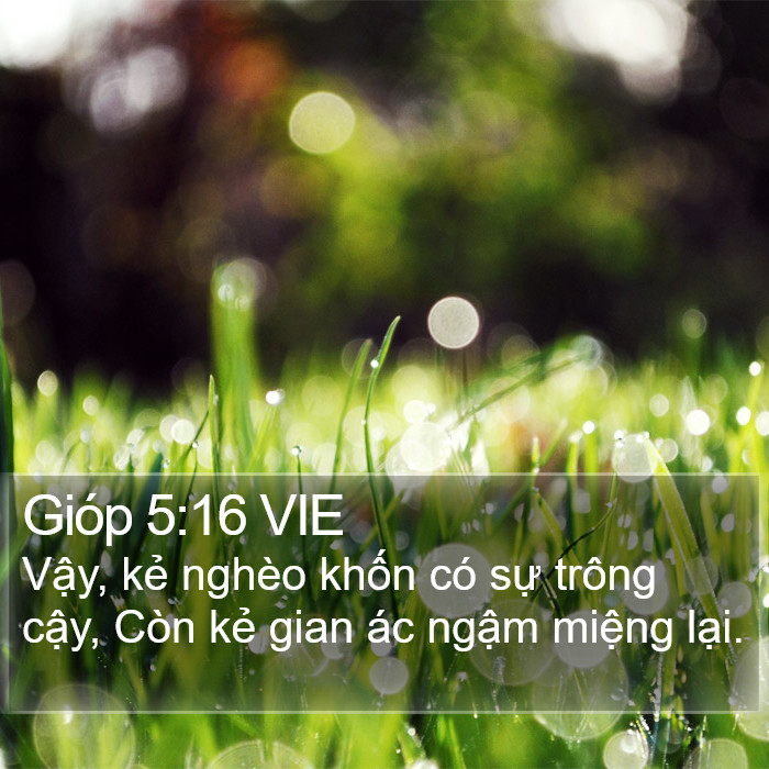 Gióp 5:16 VIE Bible Study