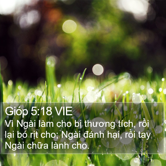 Gióp 5:18 VIE Bible Study