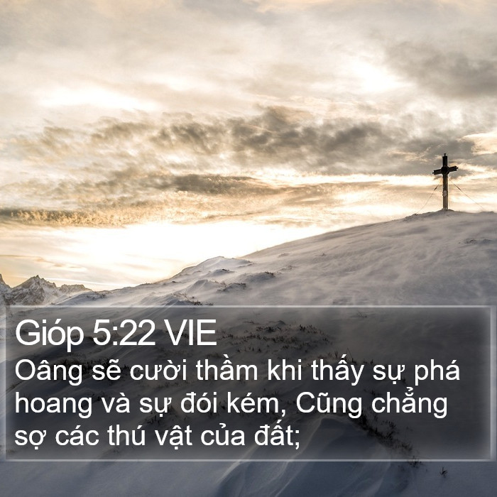 Gióp 5:22 VIE Bible Study