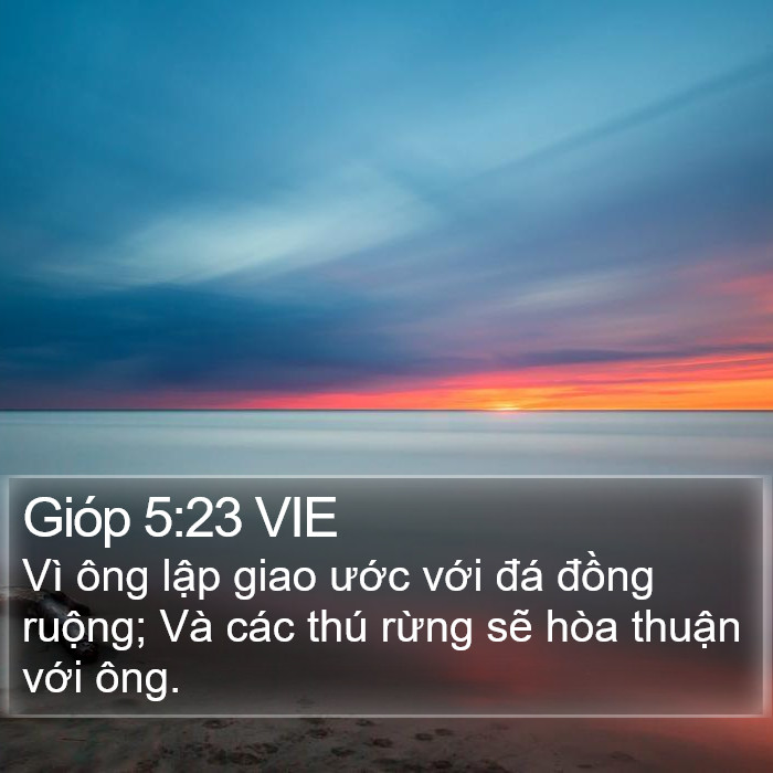 Gióp 5:23 VIE Bible Study