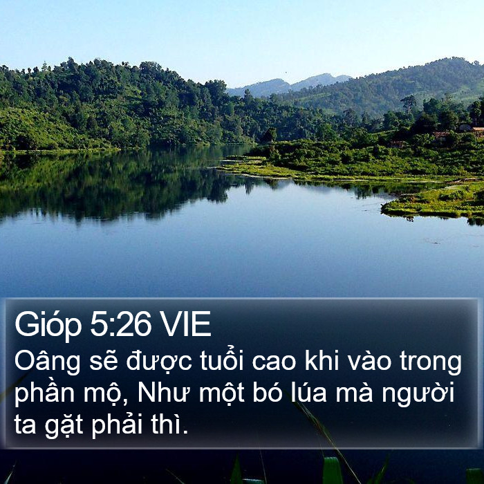 Gióp 5:26 VIE Bible Study