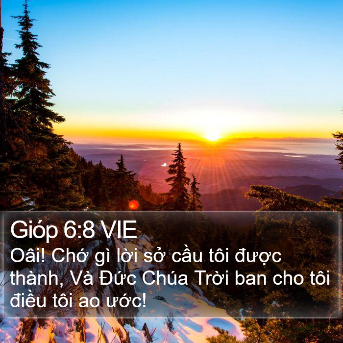 Gióp 6:8 VIE Bible Study