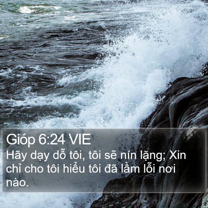 Gióp 6:24 VIE Bible Study