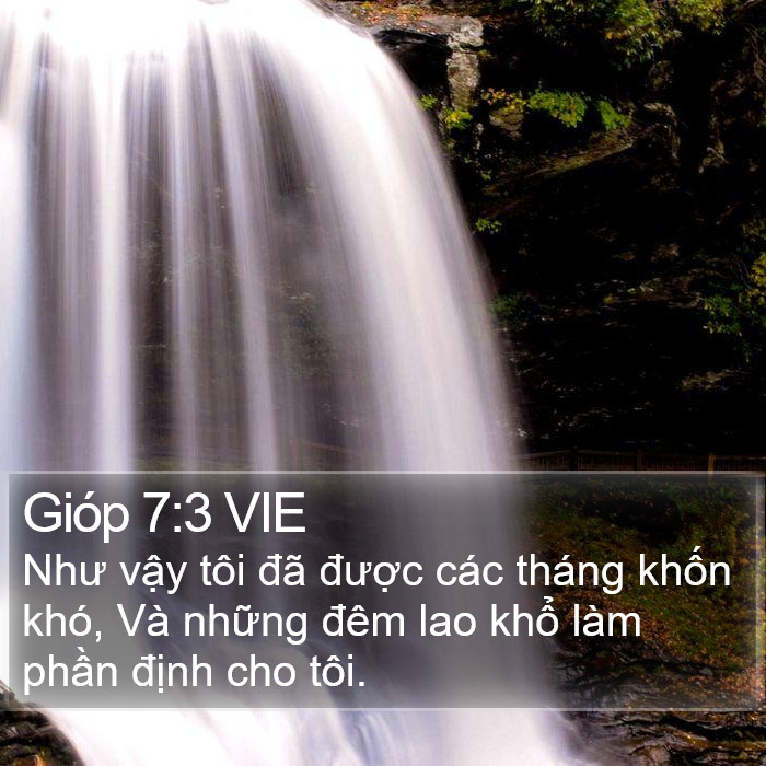 Gióp 7:3 VIE Bible Study