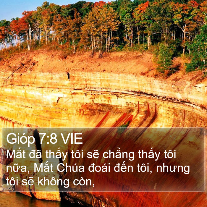 Gióp 7:8 VIE Bible Study