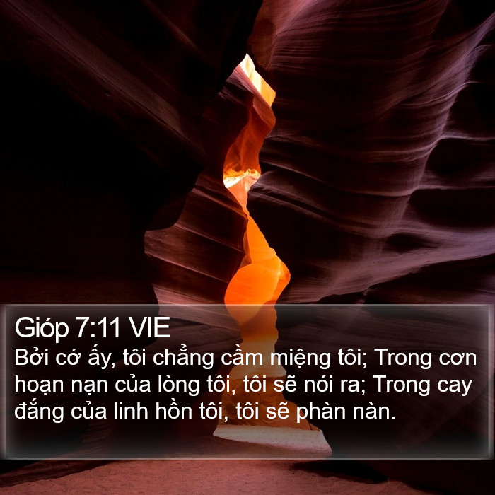 Gióp 7:11 VIE Bible Study