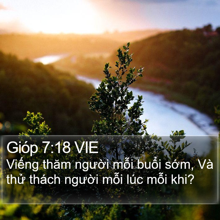 Gióp 7:18 VIE Bible Study