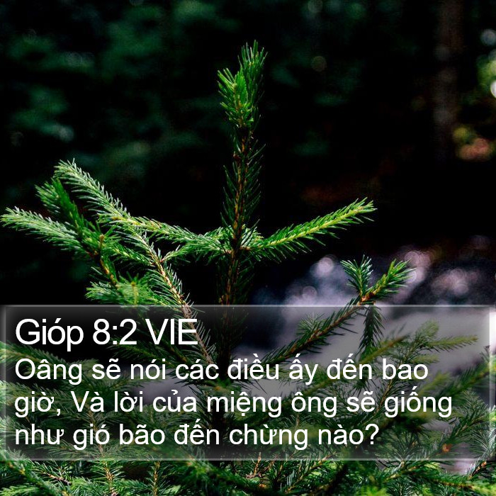 Gióp 8:2 VIE Bible Study