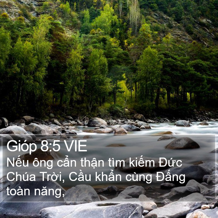 Gióp 8:5 VIE Bible Study