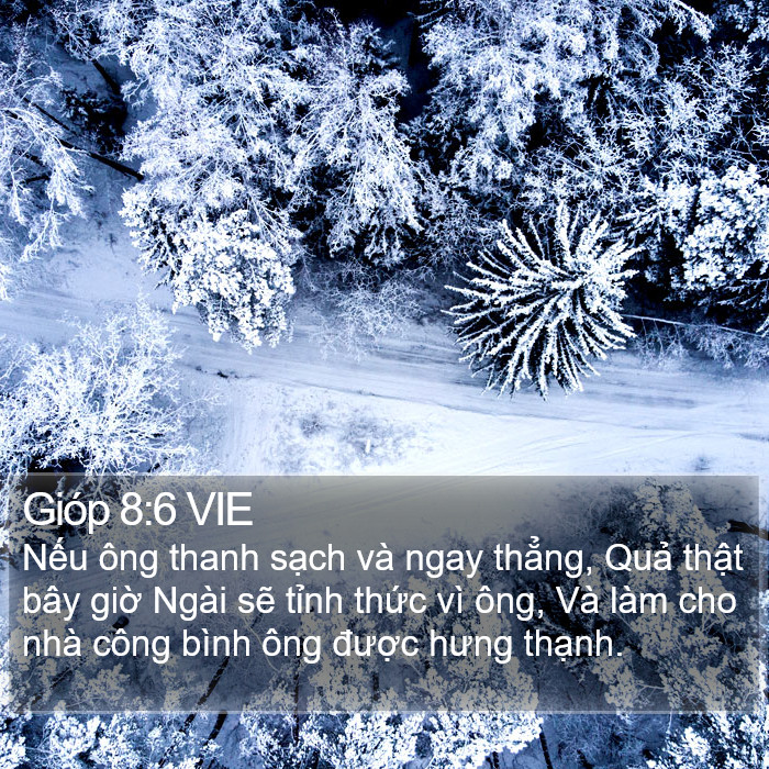 Gióp 8:6 VIE Bible Study