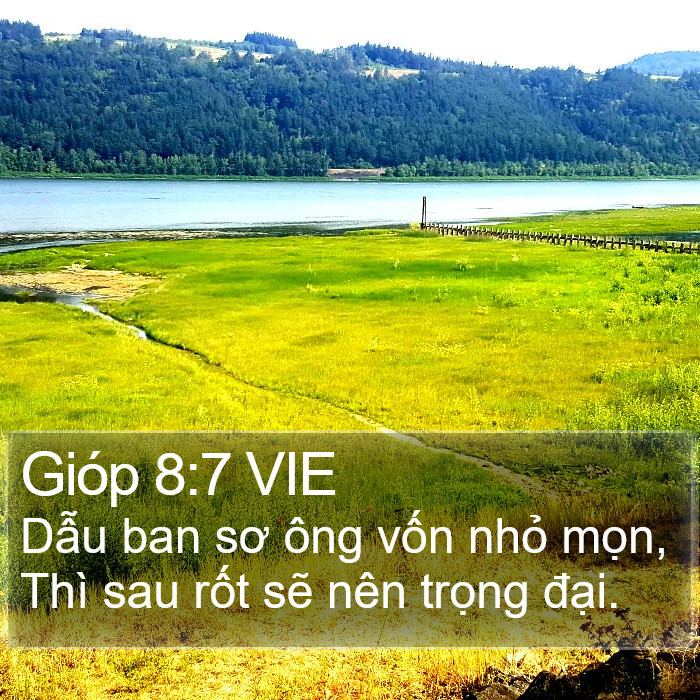 Gióp 8:7 VIE Bible Study