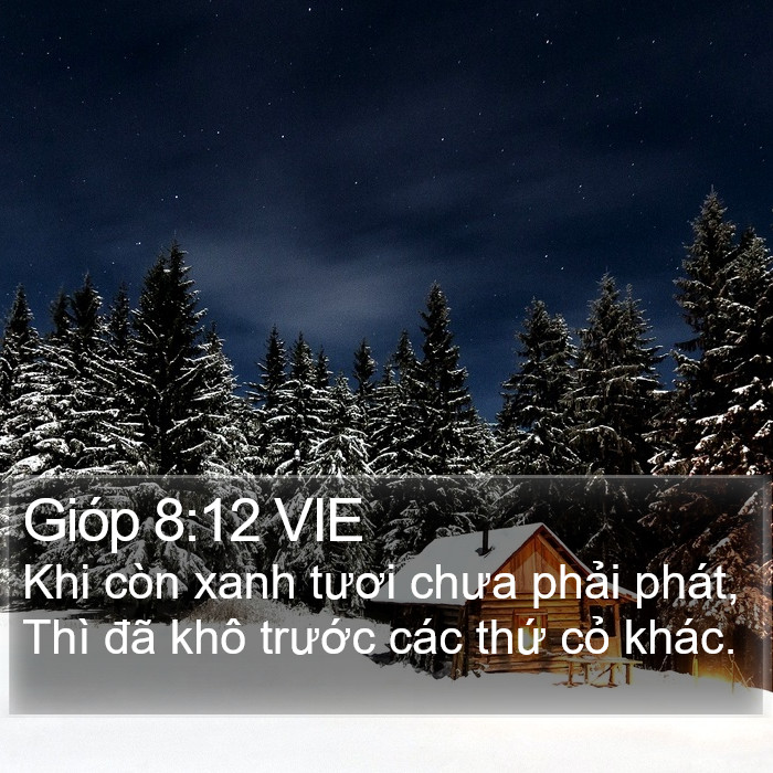 Gióp 8:12 VIE Bible Study