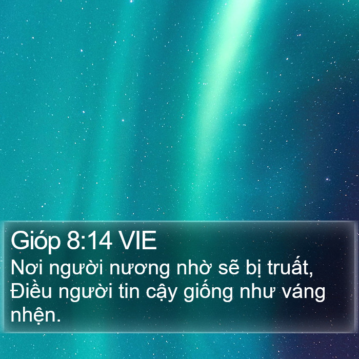 Gióp 8:14 VIE Bible Study