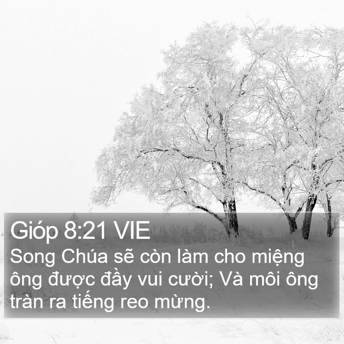 Gióp 8:21 VIE Bible Study