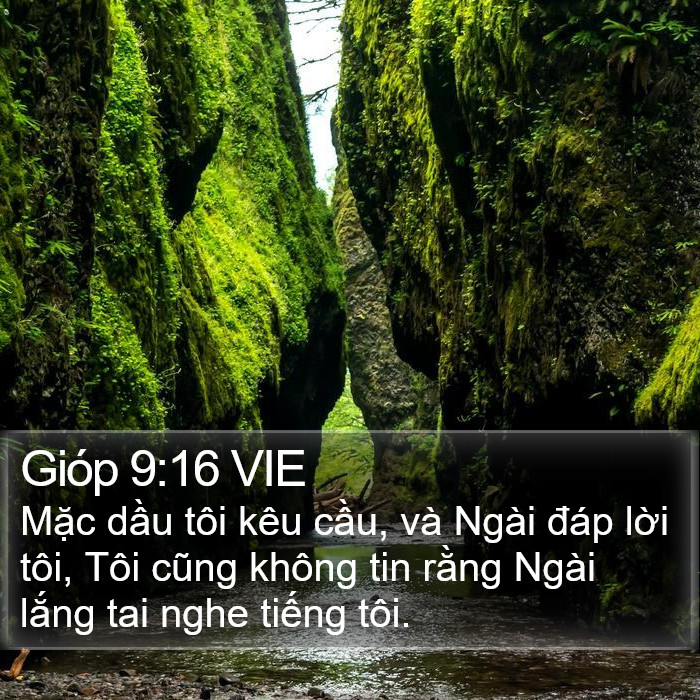 Gióp 9:16 VIE Bible Study