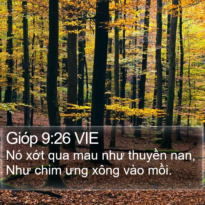Gióp 9:26 VIE Bible Study