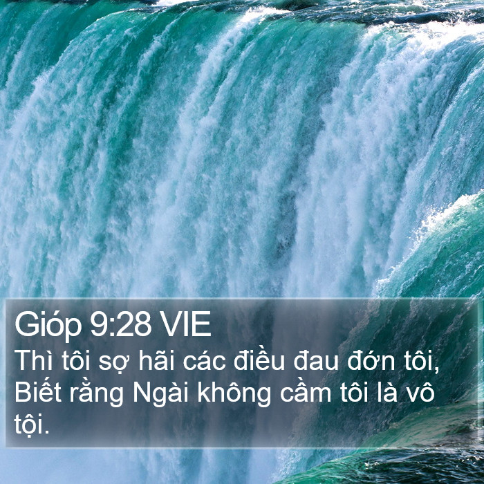 Gióp 9:28 VIE Bible Study