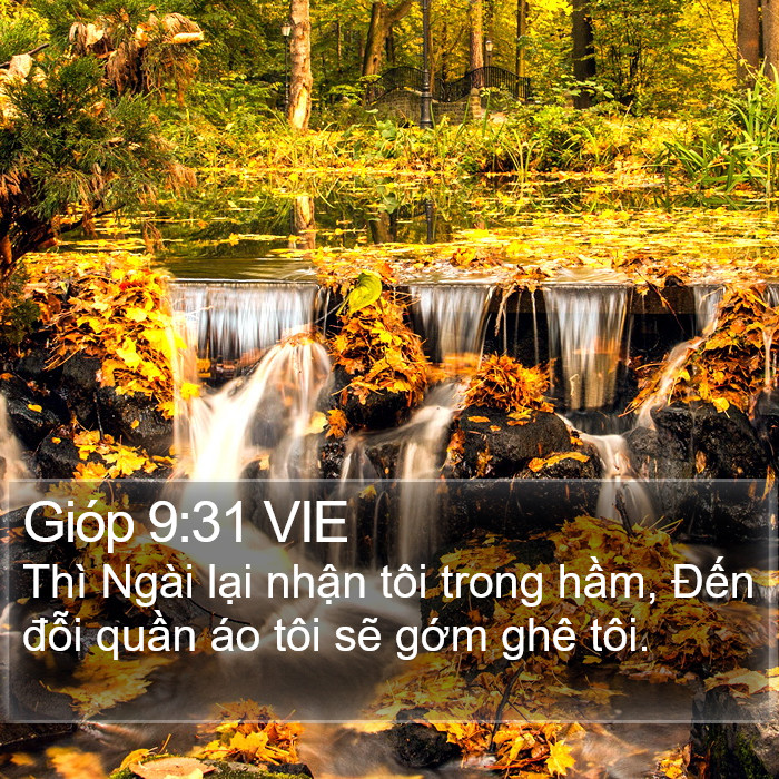 Gióp 9:31 VIE Bible Study