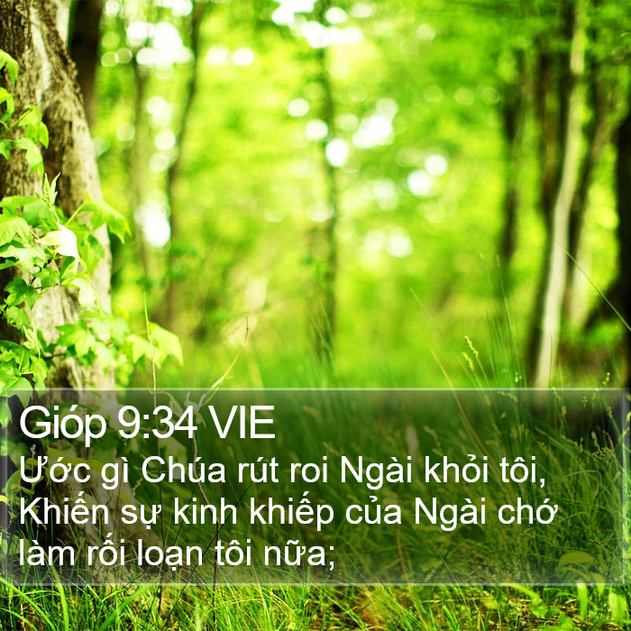 Gióp 9:34 VIE Bible Study
