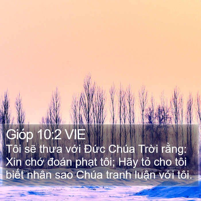 Gióp 10:2 VIE Bible Study