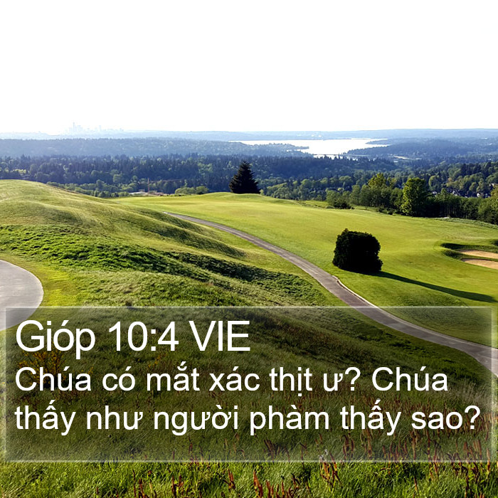 Gióp 10:4 VIE Bible Study