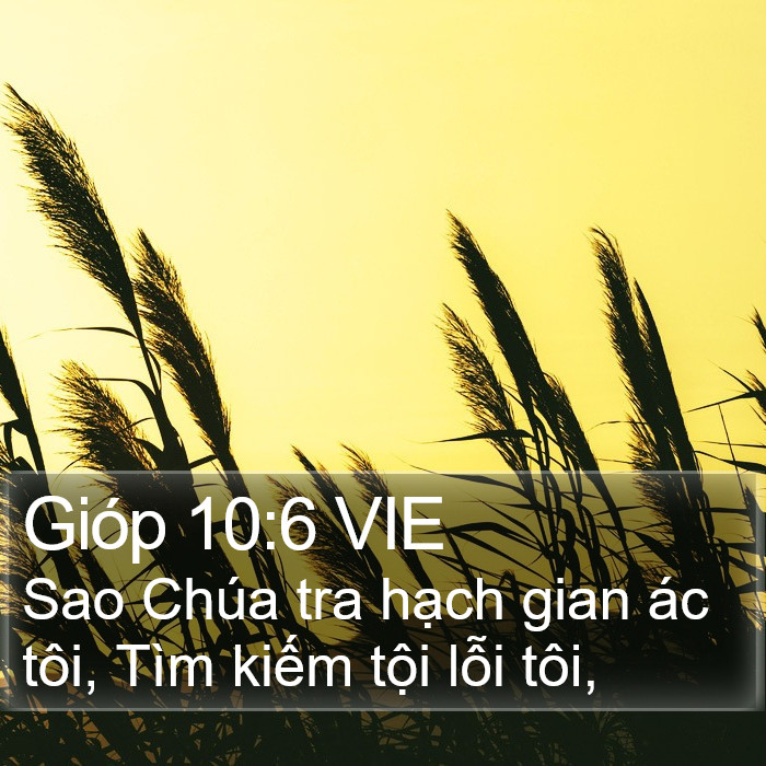 Gióp 10:6 VIE Bible Study