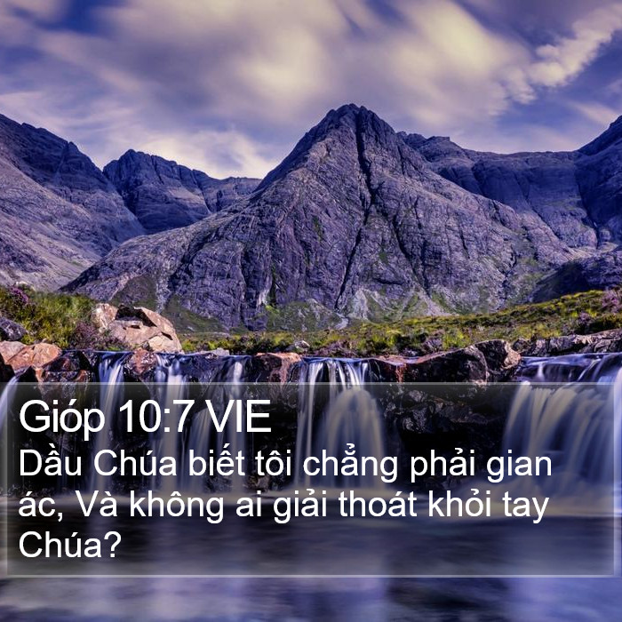 Gióp 10:7 VIE Bible Study