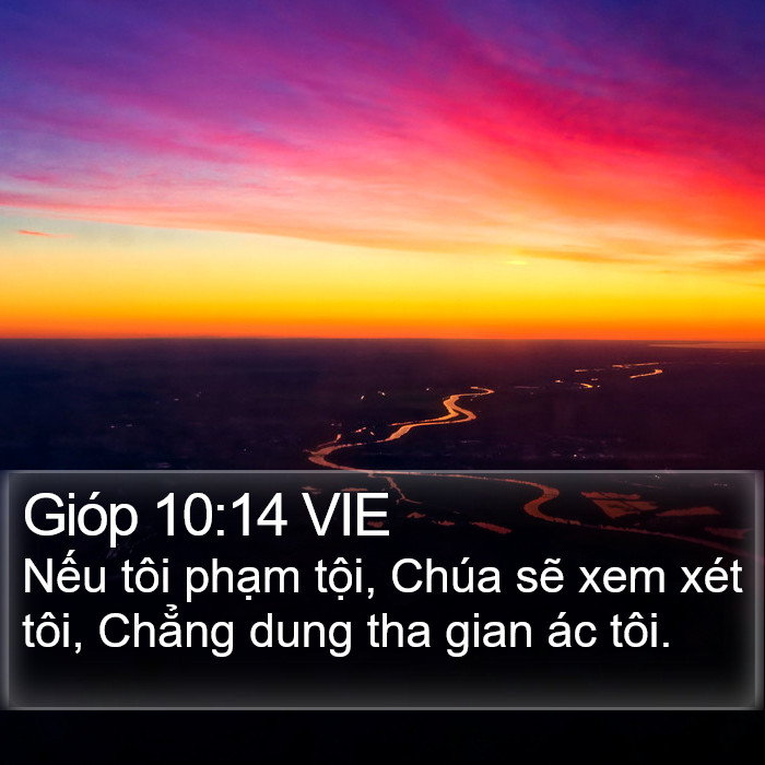 Gióp 10:14 VIE Bible Study