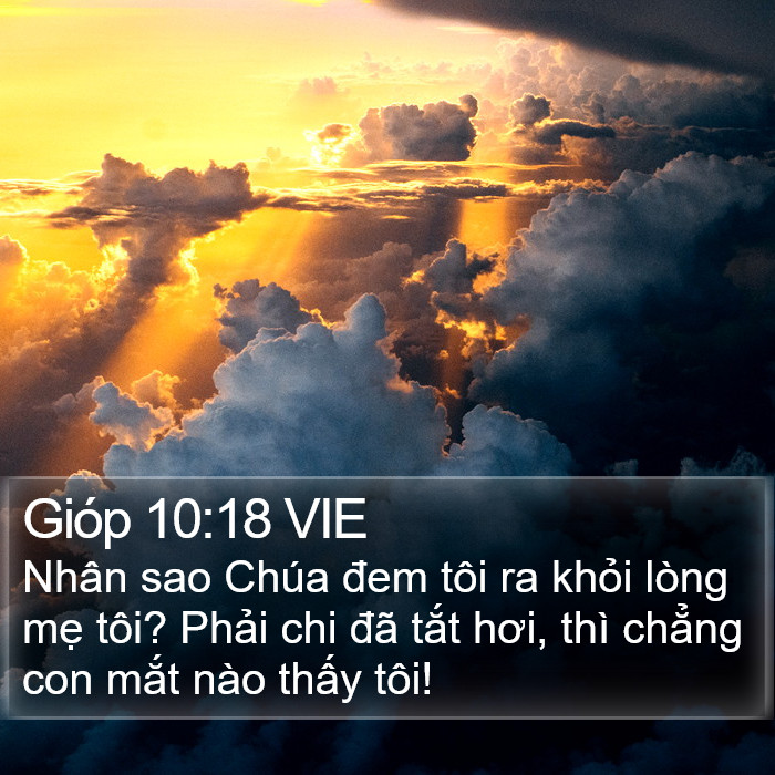 Gióp 10:18 VIE Bible Study