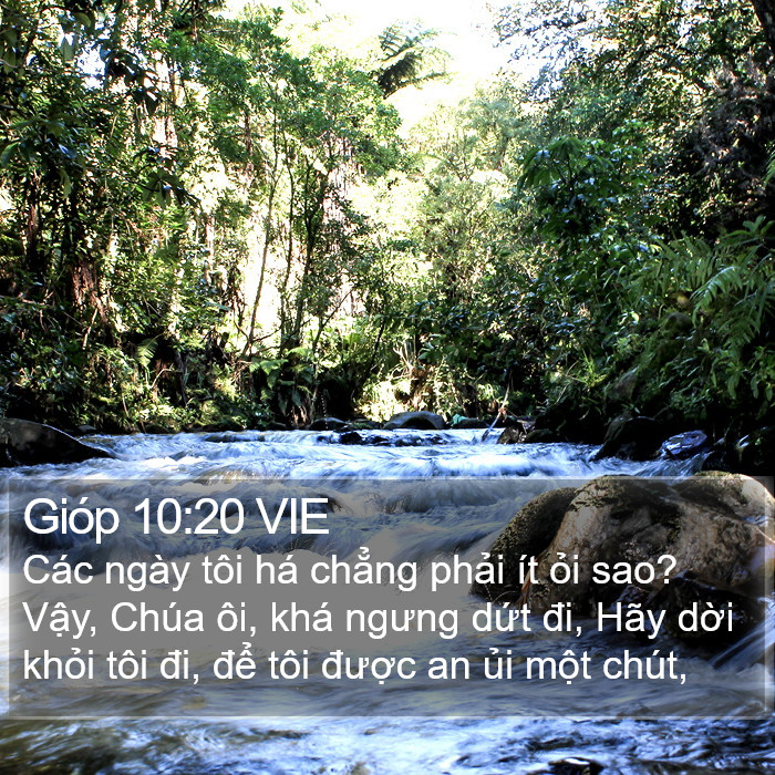 Gióp 10:20 VIE Bible Study