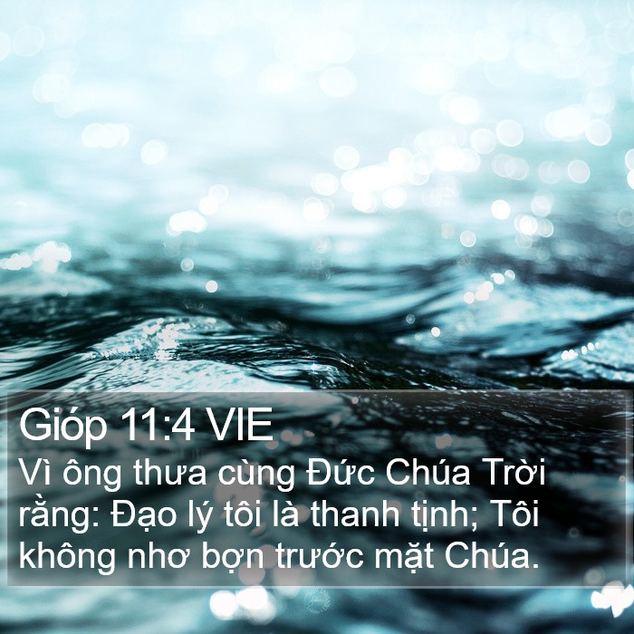 Gióp 11:4 VIE Bible Study