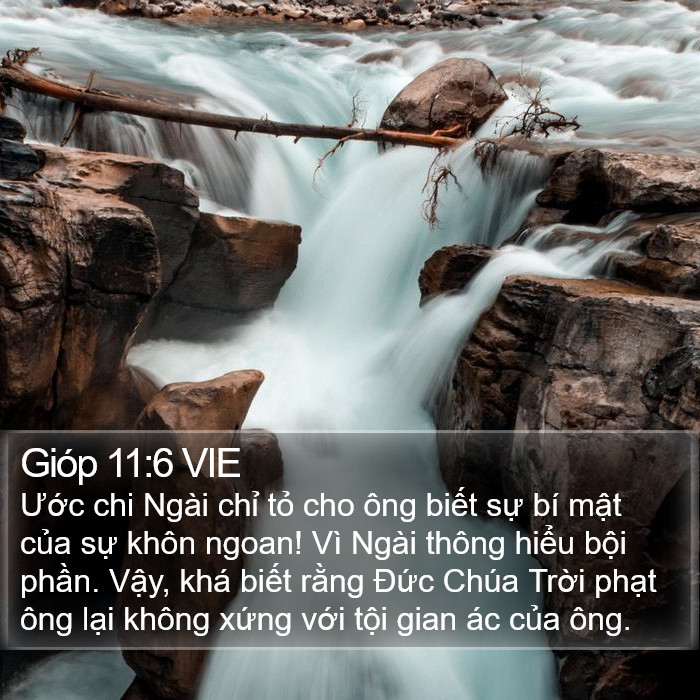 Gióp 11:6 VIE Bible Study