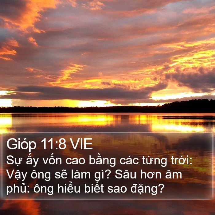 Gióp 11:8 VIE Bible Study