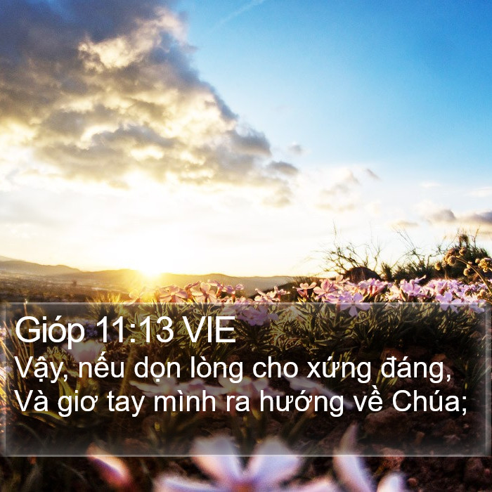 Gióp 11:13 VIE Bible Study