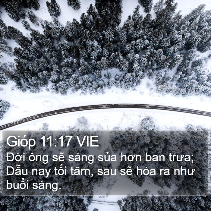 Gióp 11:17 VIE Bible Study