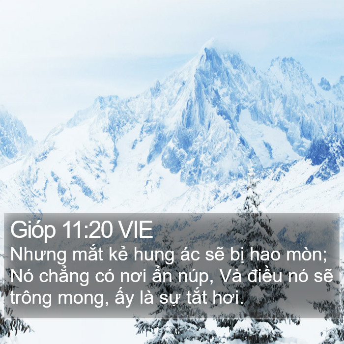 Gióp 11:20 VIE Bible Study