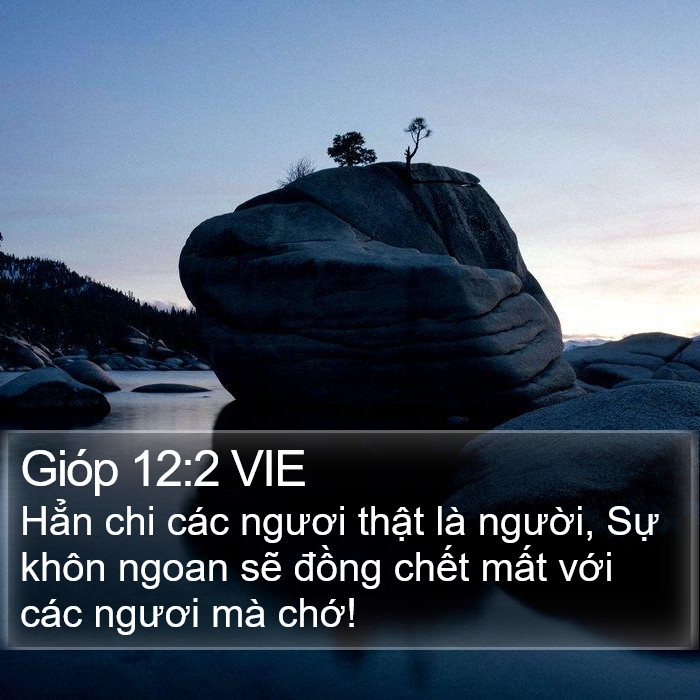 Gióp 12:2 VIE Bible Study