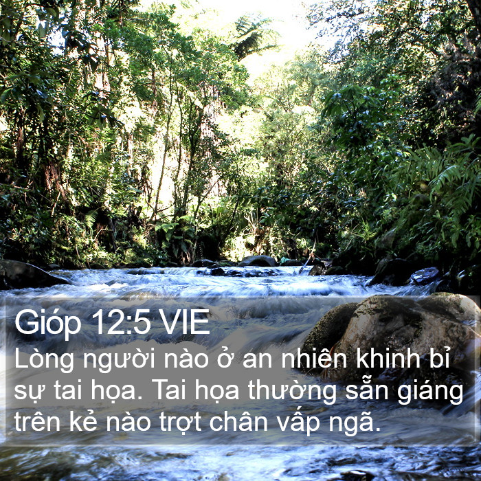 Gióp 12:5 VIE Bible Study