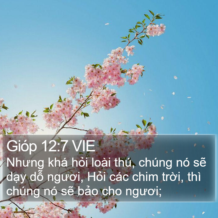 Gióp 12:7 VIE Bible Study