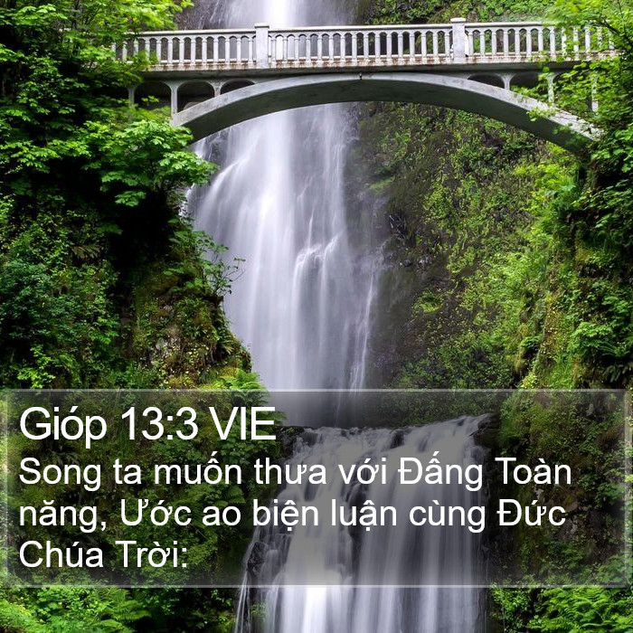 Gióp 13:3 VIE Bible Study